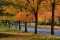 Autumn Colors adorn the trees along a street