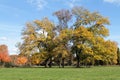 Autum colors at the park Royalty Free Stock Photo