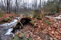 Autum Forest With Bare Trees, Ice And Ground Covered With Fallen Leaves Royalty Free Stock Photo