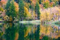 Autum forest lake Kozjak in Plitvice