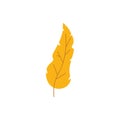 autum illustration Royalty Free Stock Photo