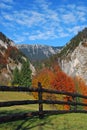 Autum landscape, Romania Royalty Free Stock Photo
