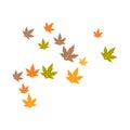 Autum Leaf Logo Royalty Free Stock Photo