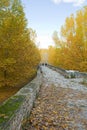 Autum pathway surrounding by a forest