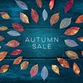 Autum Sale. Discount banner or flier design template with vibrant autumn leaves