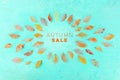 Autum Sale. Discount banner or flier design template with vibrant autumn leaves