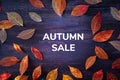 Autum Sale. Discount banner or flyer design template with a flat lay of autumn leaves and a place for a logo