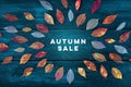 Autum Sale. Discount banner or flyer design template with vibrant autumn leaves Royalty Free Stock Photo