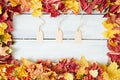 Autum Sale. Discount banner or flyer design template with vibrant autumn leaves on a brown kraft card, with a place for