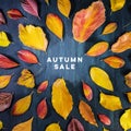 Autum Sale. Discount banner or flyer design template with vibrant autumn leaves