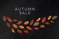 Autum Sale. Discount banner or flyer design template with vibrant autumn leaves and a place for a logo