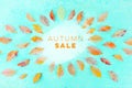 Autum Sale. Discount banner or flyer design template with vibrant autumn leaves und