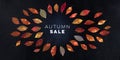 Autum Sale panoramic discount banner or flyer design with vibrant autumn leaves and a place for text on a black background