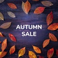 Autum Sale. Square discount banner or flier design template with fall leaves and a place for a logo