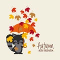 Autum season Royalty Free Stock Photo
