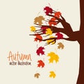 Autum season