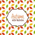 Autum season Royalty Free Stock Photo