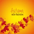 Autum season Royalty Free Stock Photo