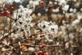 Autumm in field