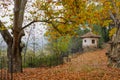 Autumm landscape with fallen leaves and house