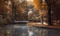 Autumm Park with lake Royalty Free Stock Photo