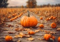 Autumm pumpkin harvest and leaves on the ground.