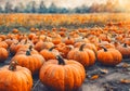 Autumm pumpkin harvest and leaves on the ground.