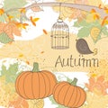 Autumn Royalty Free Stock Photo