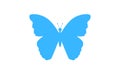 Butterflies vector flying in the wind, download royalty free images.