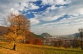 Autumn landscape with trees and city