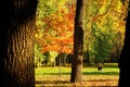 Autumn-5 Royalty Free Stock Photo