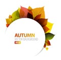 Autumn abstract floral background Royalty Free Stock Photo