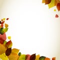 Autumn abstract floral background