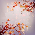 Autumn abstract floral background. EPS 10 Royalty Free Stock Photo