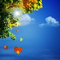 Autumn, abstract natural backgrounds