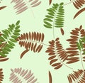 Autumn acacia leaf seamless pattern. Soft pastel light green background and bench with green, broun and yellow leaves Royalty Free Stock Photo