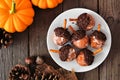 Autumn acorn shaped pumpkin spice donut holes. Table scene over rustic wood. Royalty Free Stock Photo