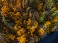 Autumn aerial look down on colorful forest
