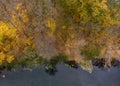 Autumn aerial look down on river in yellow forest