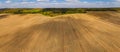 Autumn aerial panoramic drone countryside corn field and forest