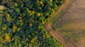 Autumn aerial panoramic drone countryside corn field and forest