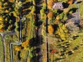 Autumn aerial view Royalty Free Stock Photo