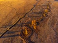 Autumn aerial view of kurai steppe in altai with golden light