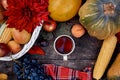 Autumn aesthetic rustic still life: fruits, vegetables and cup of tea: pumpkin, pears, apple, melon, grape and corn Royalty Free Stock Photo