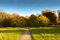 Autumn afternoon in Hyde park in London
