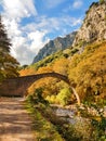 autumn in agios vissarion arched bridge in trikala perfecure greece