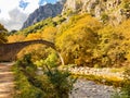 autumn in agios vissarion arched bridge in trikala perfecure greece Royalty Free Stock Photo