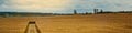 Autumn agricultural landscape. cornfield with ripe grain in cloudy October weather