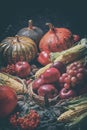 Autumn agricultural still life with fruits and vegetables. Harvest festival holiday concept Royalty Free Stock Photo