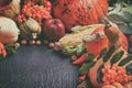 Autumn agricultural still life with fruits and vegetables. Harvest festival holiday concept Royalty Free Stock Photo